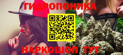 прущие крисы Кулебаки