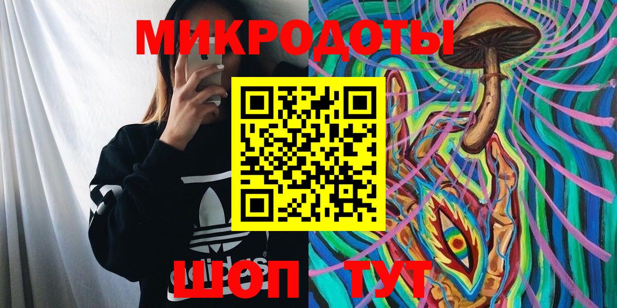Галлюциногенные грибы Psilocybine cubensis Казань